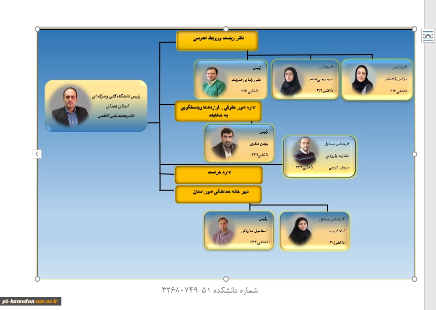 چارت سازمانی