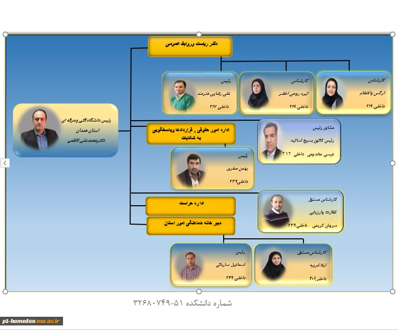 چارت سازمانی