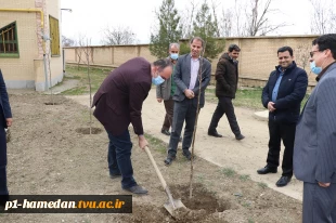 مراسم روز درختکاری  با حضور دکتر کاظمی ریاست محترم دانشگاه فنی وحرفه ای ومعاونین وکارکنان در روز یکشنبه مورخ 1400/12/15 برگزار گردید 2